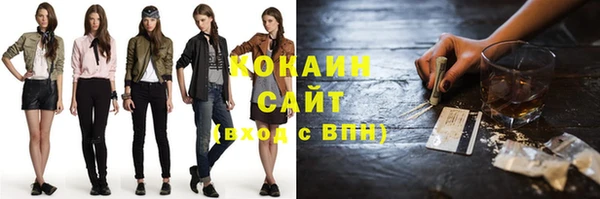 трава Карпинск