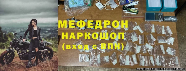 трава Карпинск