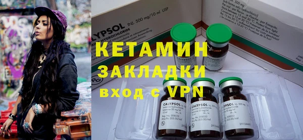 трава Карпинск