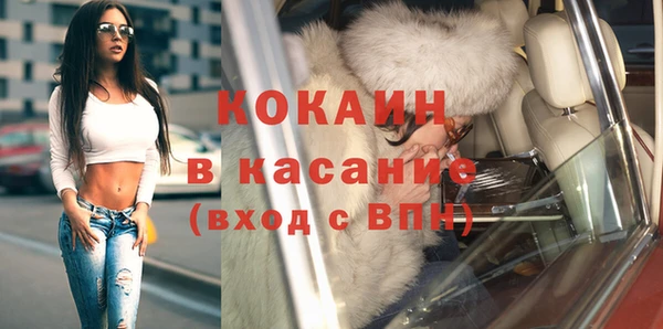 трава Карпинск