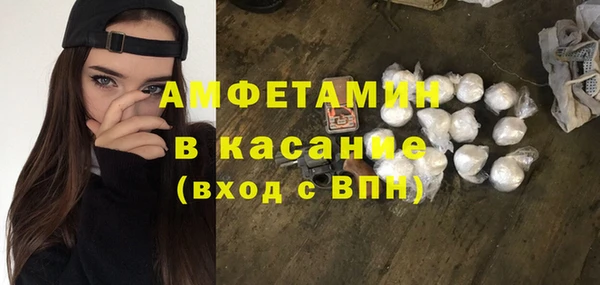 трава Карпинск