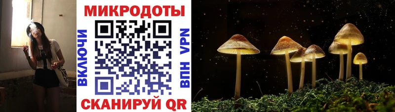 Галлюциногенные грибы мухоморы  Купить закладки  Ставрополь 
